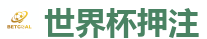 世界杯押注_2026世界杯专业体育赛事投注平台